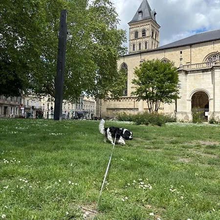 Gambetta Daire Bordeaux